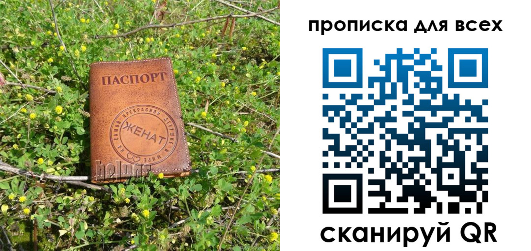 прописка поиск в Пролетарске